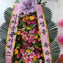 진도꽃집 이미지