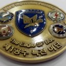 제1공수특전여단 이미지