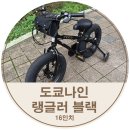 블랙스패너 | 유아자전거 도쿄나인 랭글러 블랙 16인치 후기