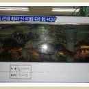 일광횟집 이미지