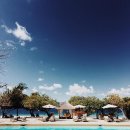 파라다이스 클럽 이미지