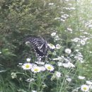 산골여행 이미지