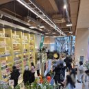 피트니스플레져 | 광고 없는 올리브베러 광화문점 방문 후기, 올리브영과 다른점, 과연 성공할까? 철분구미, 꿀도라지...