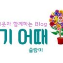 송현동 그집쭈꾸미 이미지