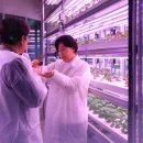 복합농장 이미지