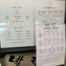 똥꼬발랄 | 겁쟁이 이탈리안그레이하운드의 애견카페 후기!! |목포애견카페|똥꼬발랄|애견운동장