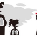 이효영 카카오 검색결과