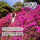 연산홍 - 용인시 처인구 한터로 34 | 대구팔공산 동화사 근처 대형카페 굿테이스트커피 연산홍 데이트