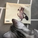 먹구네 | [반려동물]이동가방 jkdea