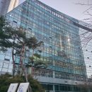 부산 600평 다이소 무료 주차 하는 법 :: 해운대 마린시티점 방문 후기
