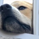 두봉농장 이미지