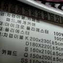 대영침장노빌리아
