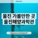 바닷속으로 | 울진 가볼만한곳 데이트코스 국립울진해양과학관, 바닷속 전망대 후기