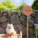 어썸스테이 이미지