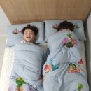 포그니침장 네이버블로그