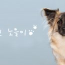못생긴 노을이