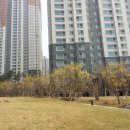 대림e-편한세상경로당 이미지