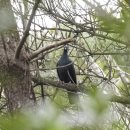 울산광역시 야생동물구조센터 이미지