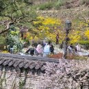 춘앵전 | 도심속 한국의 멋과 맛/복합문화공간 삼청각/ 삼청각 일화당 야외 결혼식 참석후기