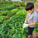 은찬농장 이미지