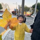 대구노원동우체국 이미지