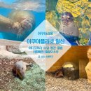 우림목장 | 경기도 일산 가볼만한곳 여름 실내 데이트 일산 아쿠아플라넷