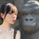 R&C 이미지