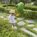 사라앤마르코 이미지