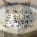 YS복싱클럽 이미지