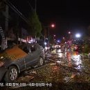 대도유리페인트