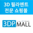 레인보우벤처스 | 레인보우 3D 필라멘트 그린!! 출력 후기