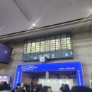 복실방앗간 | 2024 서일페 첫날 관람과 굿즈 그리고 텅 빈 내 지갑에 대한 후기