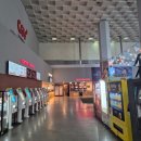 명불허전 톰 아저씨의 귀환 [미션 임파서블-파이널 레코딩 실제 관람 후기/CGV 고양백석]