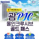 스테디패스 이미지