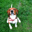 아이엠 동물병원 이미지