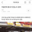 틈새 이미지