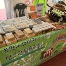 싱그런협동조합 이미지