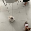 정진약국 이미지