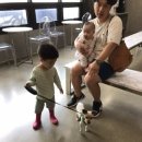 반창꼬동물병원 이미지