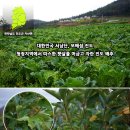 조아라영농조합법인 이미지
