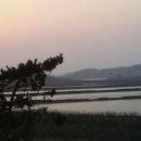 나비 머무는 자리