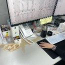 올해 4월에 눈왔다?