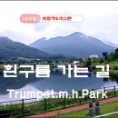 트럼펫연주 Daum카페