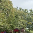 풍악을 울려라 노래연습장 | [정보공유]세종대왕기념관 전통혼례 후기｜서울 전통 결혼식 장소 추천