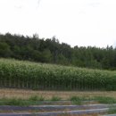 옛고을농장 이미지