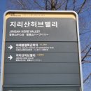 허브힐링카페