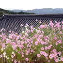심청한옥마을 Daum카페