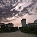 도화체육관 이미지