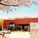 포마자동차디자인미술관 이미지