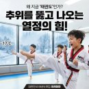 MTA 힘찬 태권도장 이미지